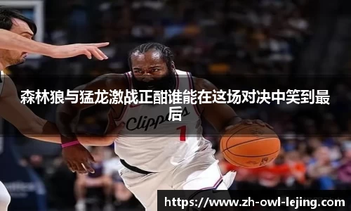 乐竞体育官网